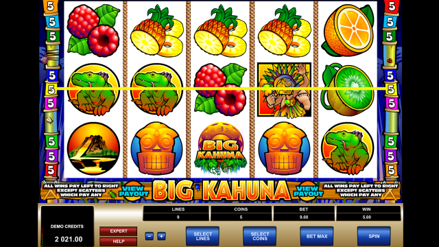 Характеристики слота Big Kahuna 6